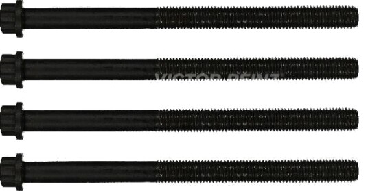 REINZ 14-32069-01 Topplokksbolter