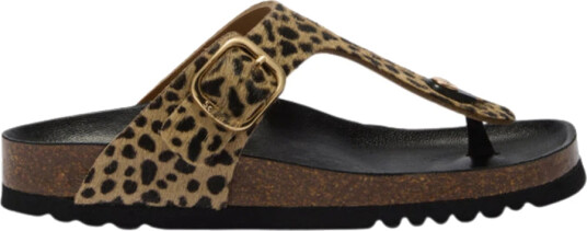 Scholl Dame Sko Brun 41 EU,