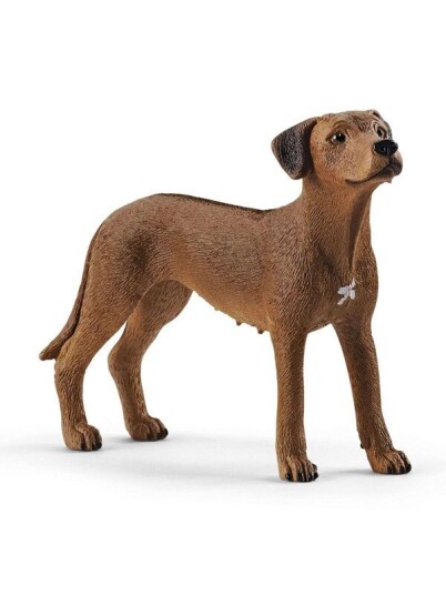 Schleich Rhodeisensk Ridgeback Figur av Dyr i Plast