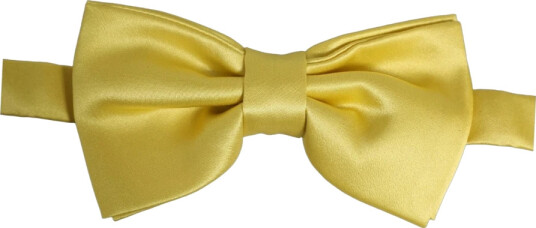 Dolce & Gabbana Herre Accessories Gul ONE SIZE,