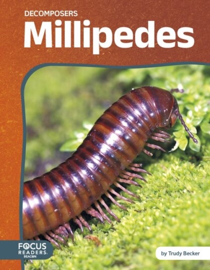 Decomposers: Millipedes Decomposers: Millipedes