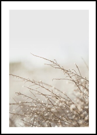 Branches Plakat Plakat / 100x150cm