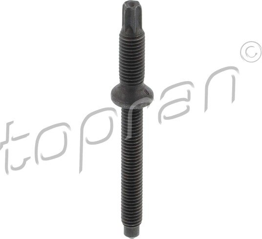 Skrue, innsprøytningsdyseholder TOPRAN 306 329
