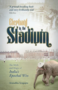 Elephant In The Stadium Av Arunabha Sengupta