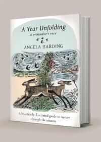 A Year Unfolding Av Angela Harding