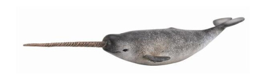 Collecta Narwhal Collecta Narwhal