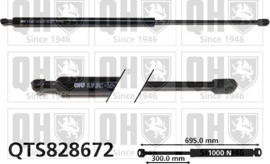 QUINTON HAZELL QTS828672 Baklukedemper