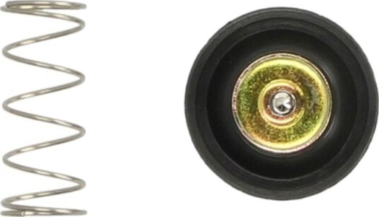Membran, forgasser TOURMAX ACV-111