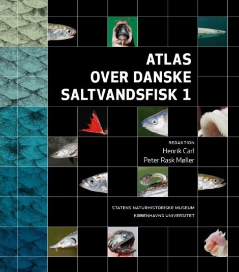 Atlas Over Danske Saltvannsfisker | Redaksjon Henrik Carl & Peter Rask Møller | Språk: Dansk