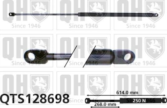 Gassfjær motorpanser QUINTON HAZELL QTS128698