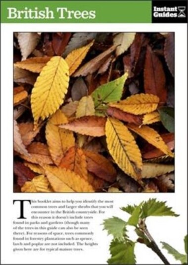 British Trees  The Instant Guide