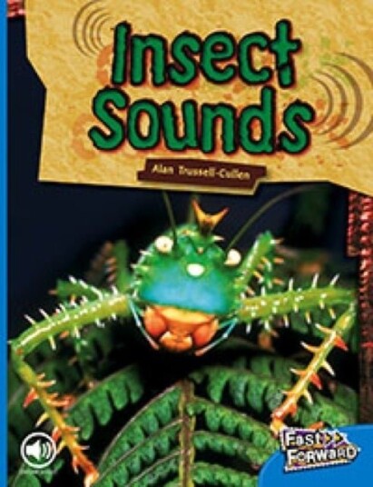 Insect Sounds Insect Sounds