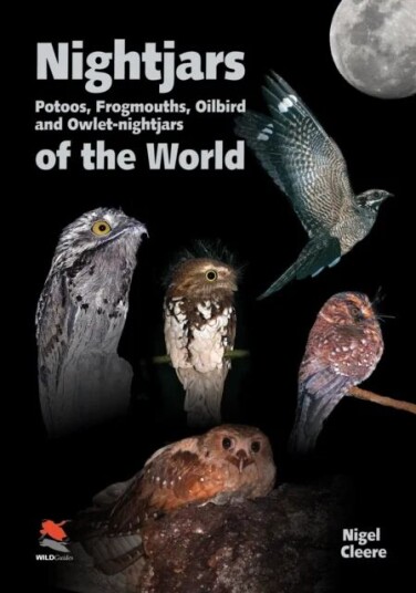 Nightjars, Potoos, Frogmouths, Oilbird, And Owlet-Nightjars Of The World Av Nigel Cleere