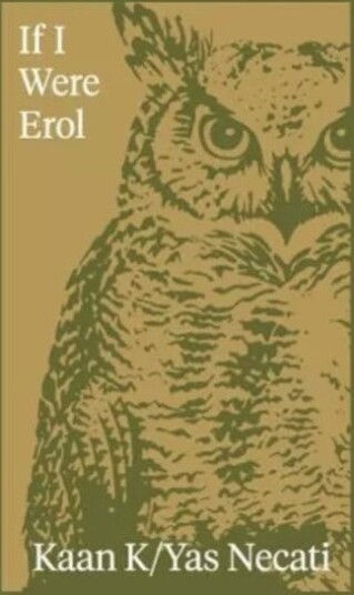 If I Were Erol