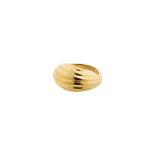 Pilgrim ASLE ring gullbelagt Pilgrim ASLE ring gullbelagt