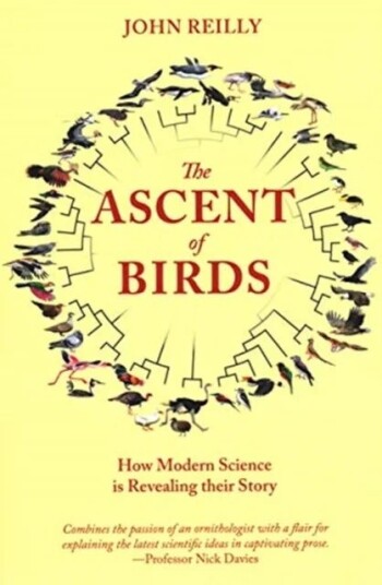 The Ascent Of Birds Av John Reilly