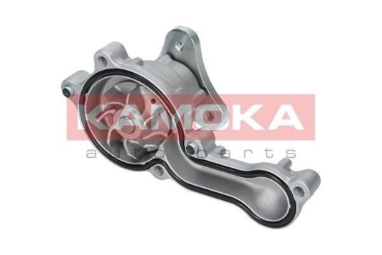 KAMOKA T0150 Vannpumpe