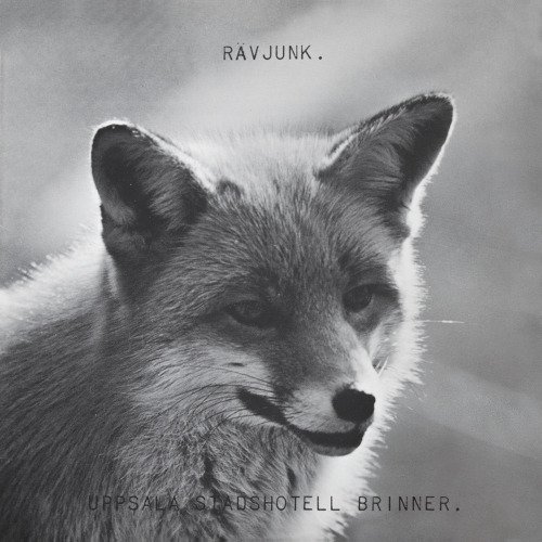 Ravjunk Uppsala Stadshotell Brinner Vinyl