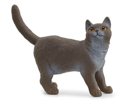 Schleich Britisk Korthår Katt Figur Schleich Britisk Korthår Katt Figur