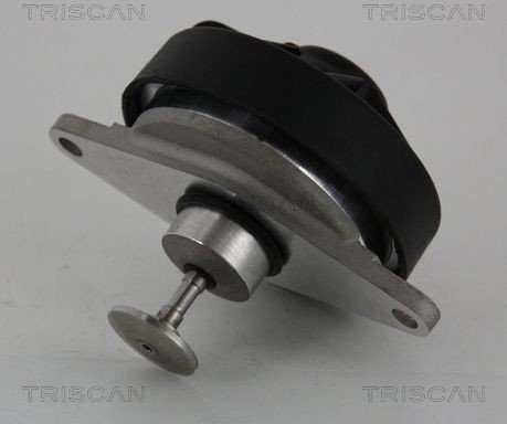 EGR ventil TRISCAN 8813 24202 EGR ventil TRISCAN 8813 24202