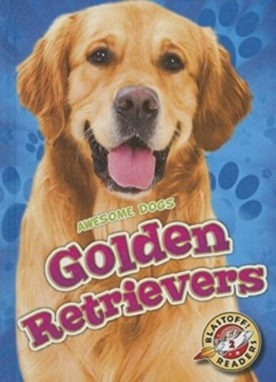 Golden Retrievers Golden Retrievers Golden Retrievers Golden Retrievers