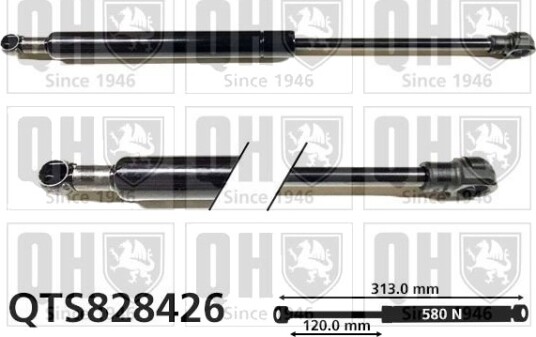 Gassfjær, motorpanser QUINTON HAZELL QTS828426