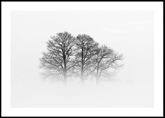 A Hazy Shade of Winter Plakat Plakat / 50x70cm