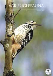 Norsk Ornitologisk Forening Vår Fuglefauna   2007 2 årgang 30