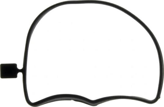 BMW 11127793165 Tetning