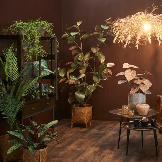 Mr Plant Arekapalme 210 cm