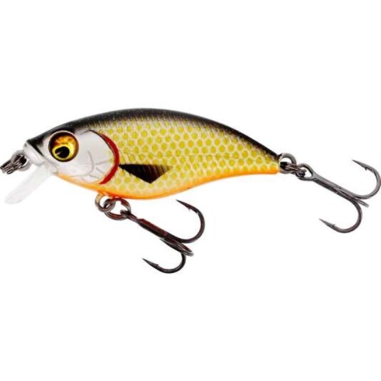 Westin BuzzBite SR Crankbait 5cm 6g Low Floating Official Roach Westin BuzzBite SR Crankbait 5cm 6g Low Floating Official Roach