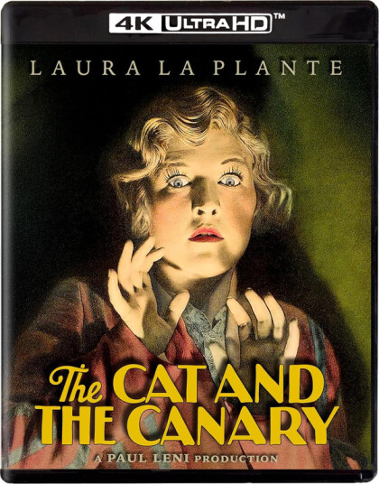 The Cat And The Canary 1927