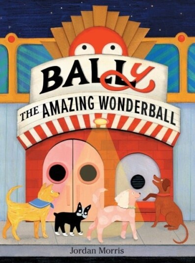BALLy the Amazing Wonderball BALLy the Amazing Wonderball