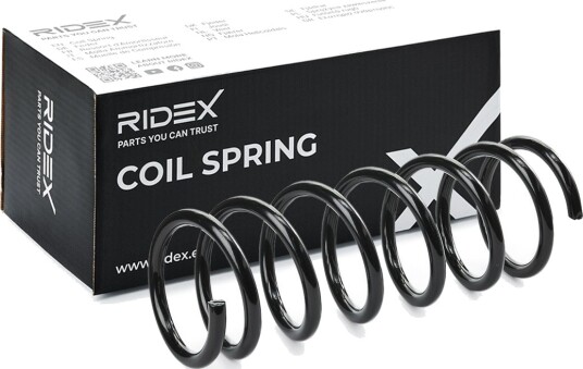 RIDEX 188C0733 Fjær RIDEX 188C0733 Fjær