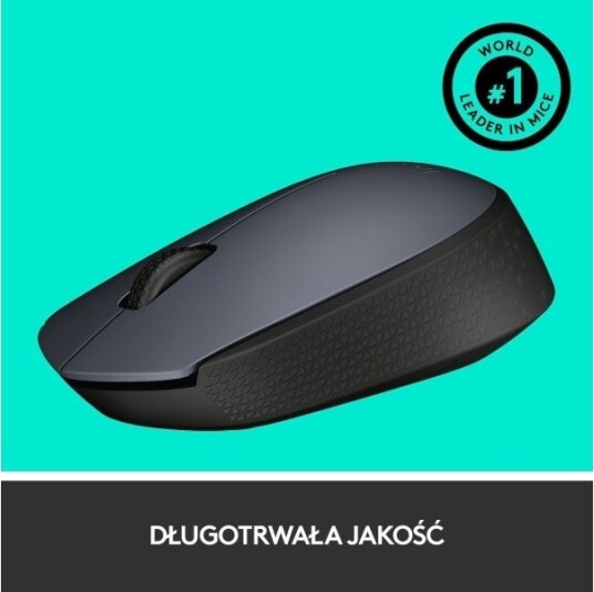 Logitech M170 Mus 910-004642 + Studio Series Graphite 956-000049
