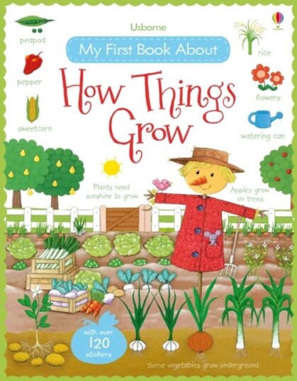 My First Book About How Things Grow Av Felicity Brooks
