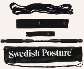 Swedish Posture Mini Gym Swedish Posture Mini Gym
