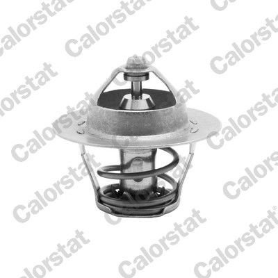 Termostat CALORSTAT by Vernet TH5075.88J