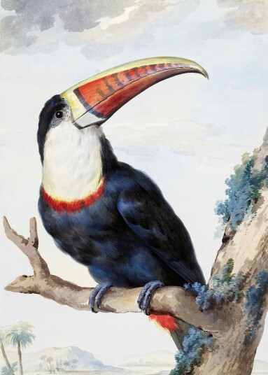 Plakat Tukan Kunstverk Plakat Tukan Kunstverk