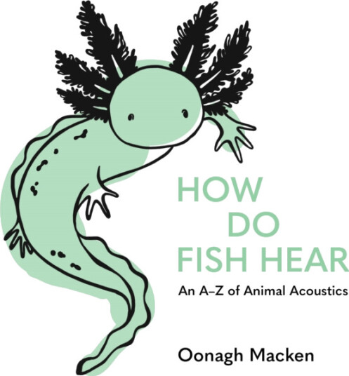 How Do Fish Hear An AZ of Animal Acoustics