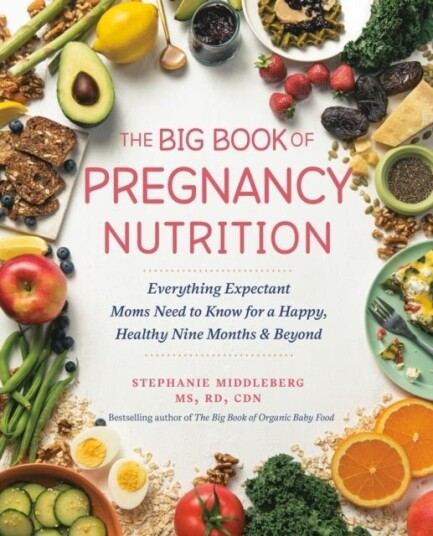 The Big Book Of Pregnancy Nutrition The Big Book Of Pregnancy Nutrition