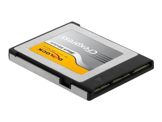 Delock - Flashminnekort - 256 Gb - Cfexpress
