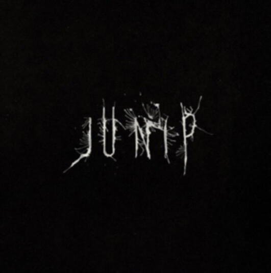 Junip (Jose Gonzalez) Junip CD