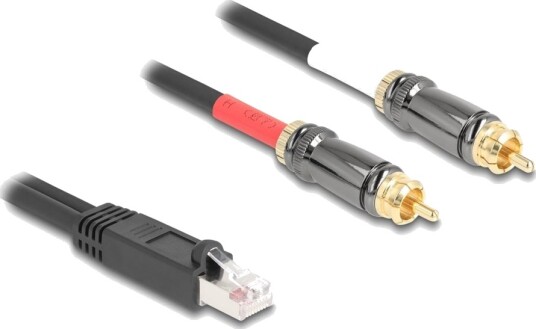 Delock Audioadapter Rj-45 Hann Til Rca Hann 2 M Svart