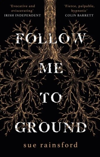 Follow Me To Ground av Sue Rainsford