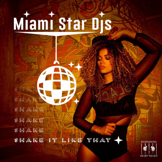 Miami Star Djs Shake It Like That CD