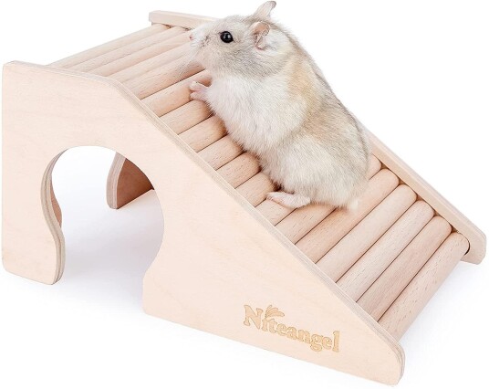 Niteangel Tunnel Til Hamster