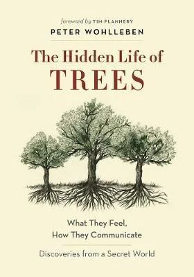 The Hidden Life Of Trees Av Peter Wohlleben