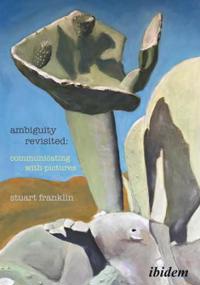 Ambiguity Revisited - Communicating With Pictures Av Stuart Franklin