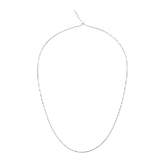Daniel Wellington DW Charm Snake Necklace < 50 cm Silver Daniel Wellington DW Charm Snake Necklace < 50 cm Silver